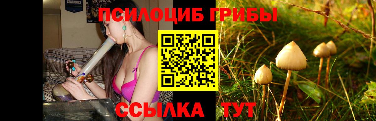Псилоцибиновые грибы мицелий  Псилоцибиновые грибы прущие грибы  Магадан  Вход с VPN 
